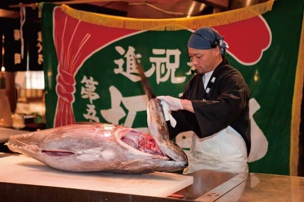 Approximately 40 minutes by bus to Kuroshio Market