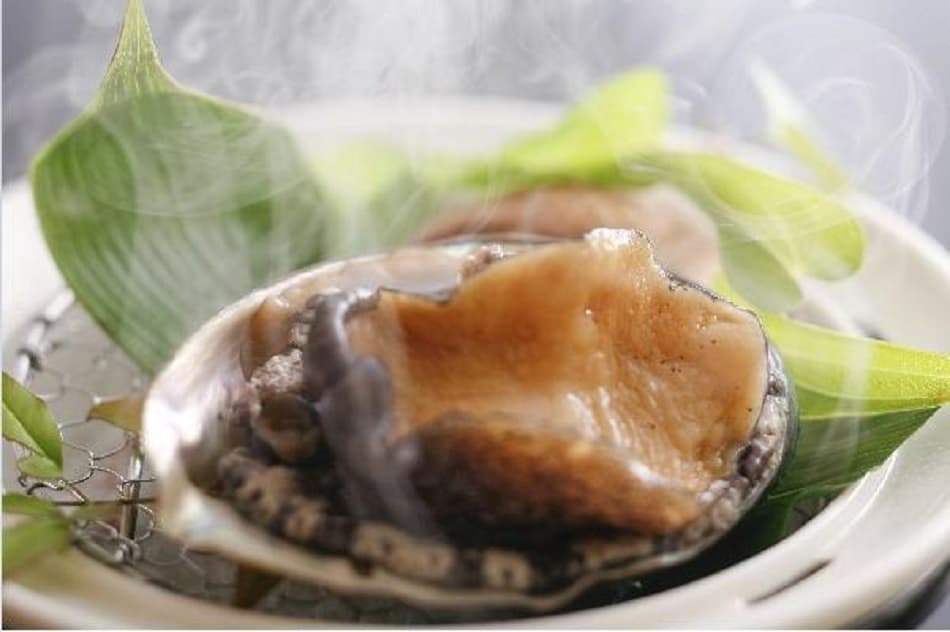 고진노 야도 산포