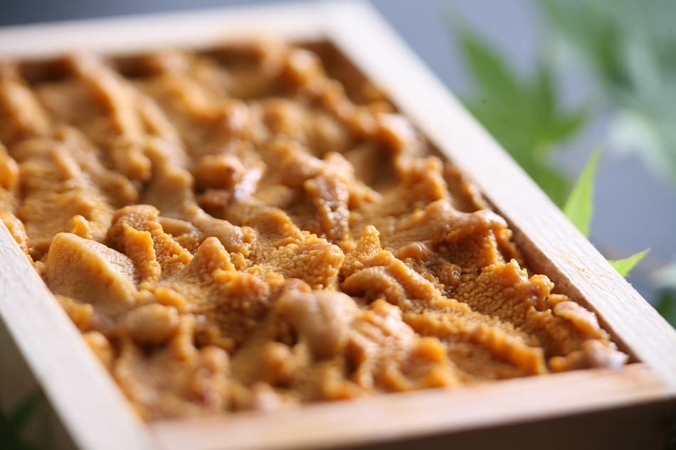 고진노 야도 산포 사진 3