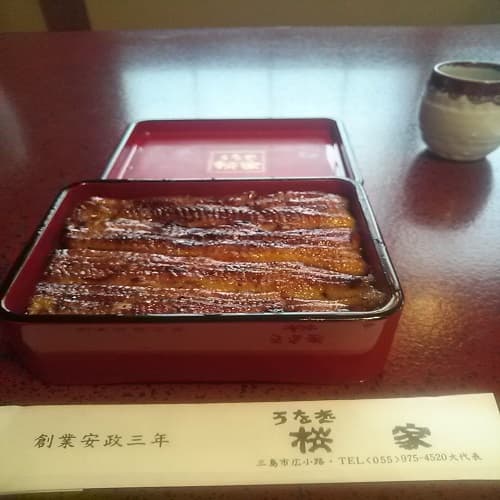 Hotel Select Inn Mishima photo 4