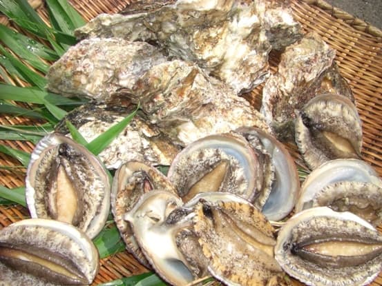 시오사이노야도 마루토쿠 료칸 사진 22