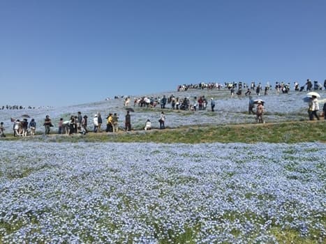 시오사이노야도 마루토쿠 료칸 photo 10