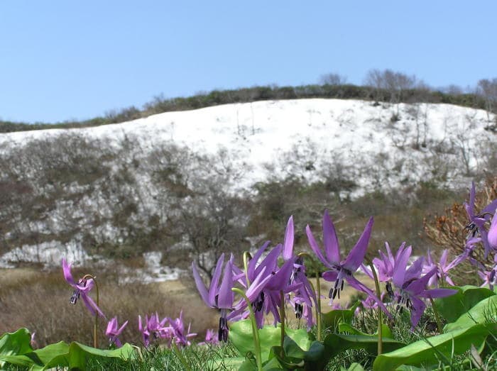 호텔 아마노가와소 <사도가시마> photo 14