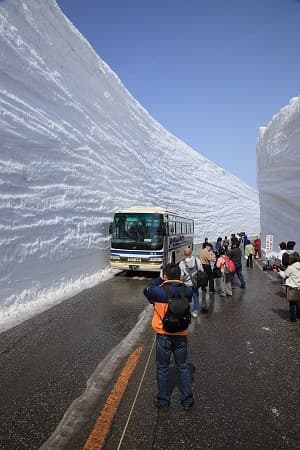 TATEYAMA GREEN PARK YOSHIMINE photo 15