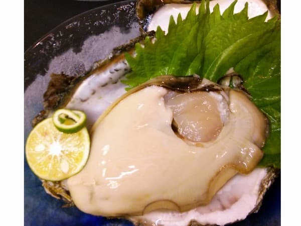 호텔 타카노야 photo 12