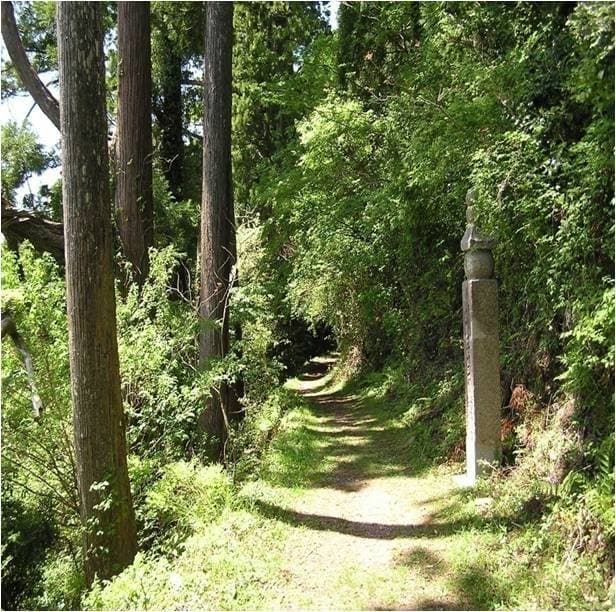 나카가와 료칸 <와카야마 현> photo 15