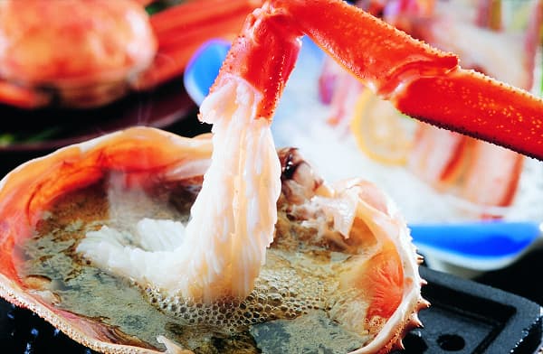 가이운칸 사진 11