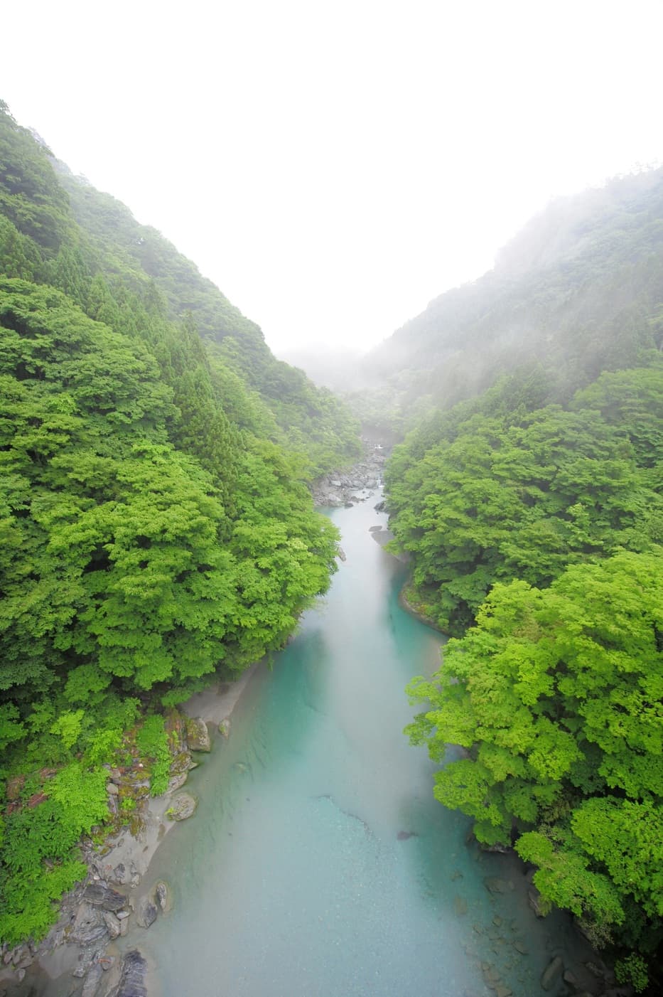 이야노야도 가즈라야 photo 10