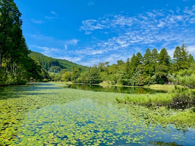 Nearby sightseeing: Aso Pond