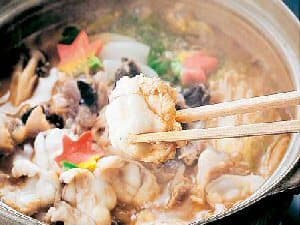 료테이 고타키 photo 14