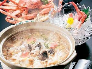 료테이 고타키 photo 11