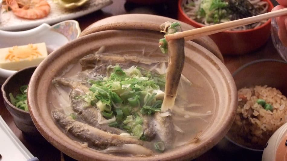 사기노유 온천 야스기엔 photo 14