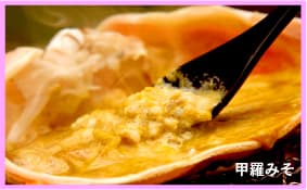 Shell miso