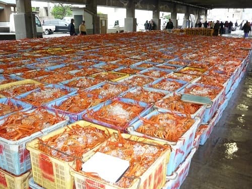 Kasumi crab