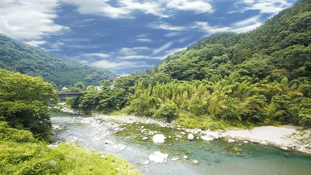 블루 빌라 아나부키 photo 9