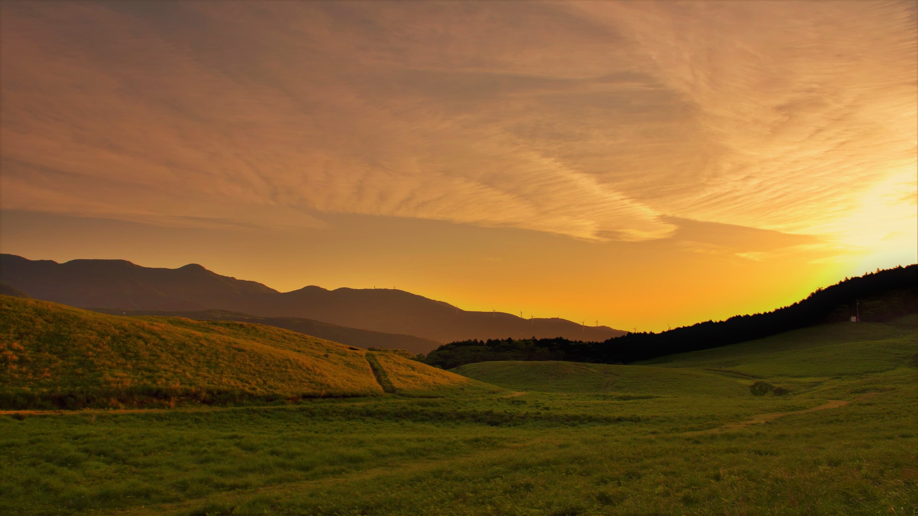 ◆Inatori Hosono Plateau: The autumn pampas grass is beautiful, but the summer grasslands are also spectacular.