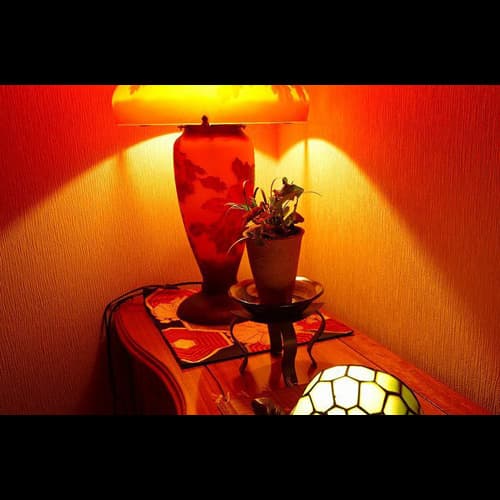 ◆ Inside image (lamp)
