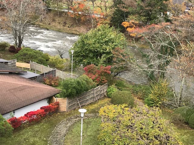 Autumn Garden
