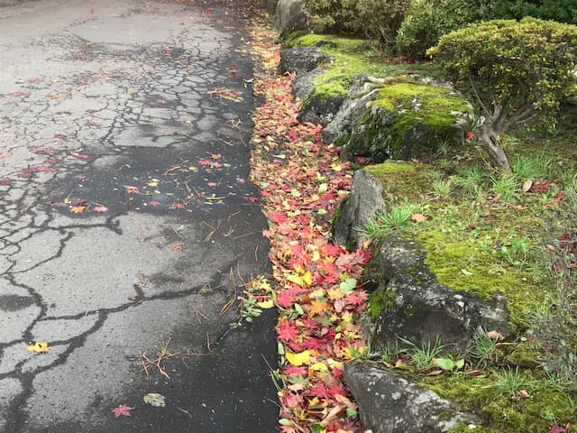 厳美渓温泉　滝の湯　いつくし園