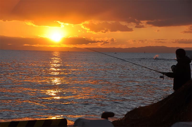 Marine Activities (LOG Sunset)