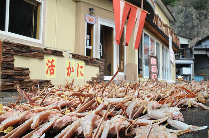 Echizen crabs lined up at the entrance