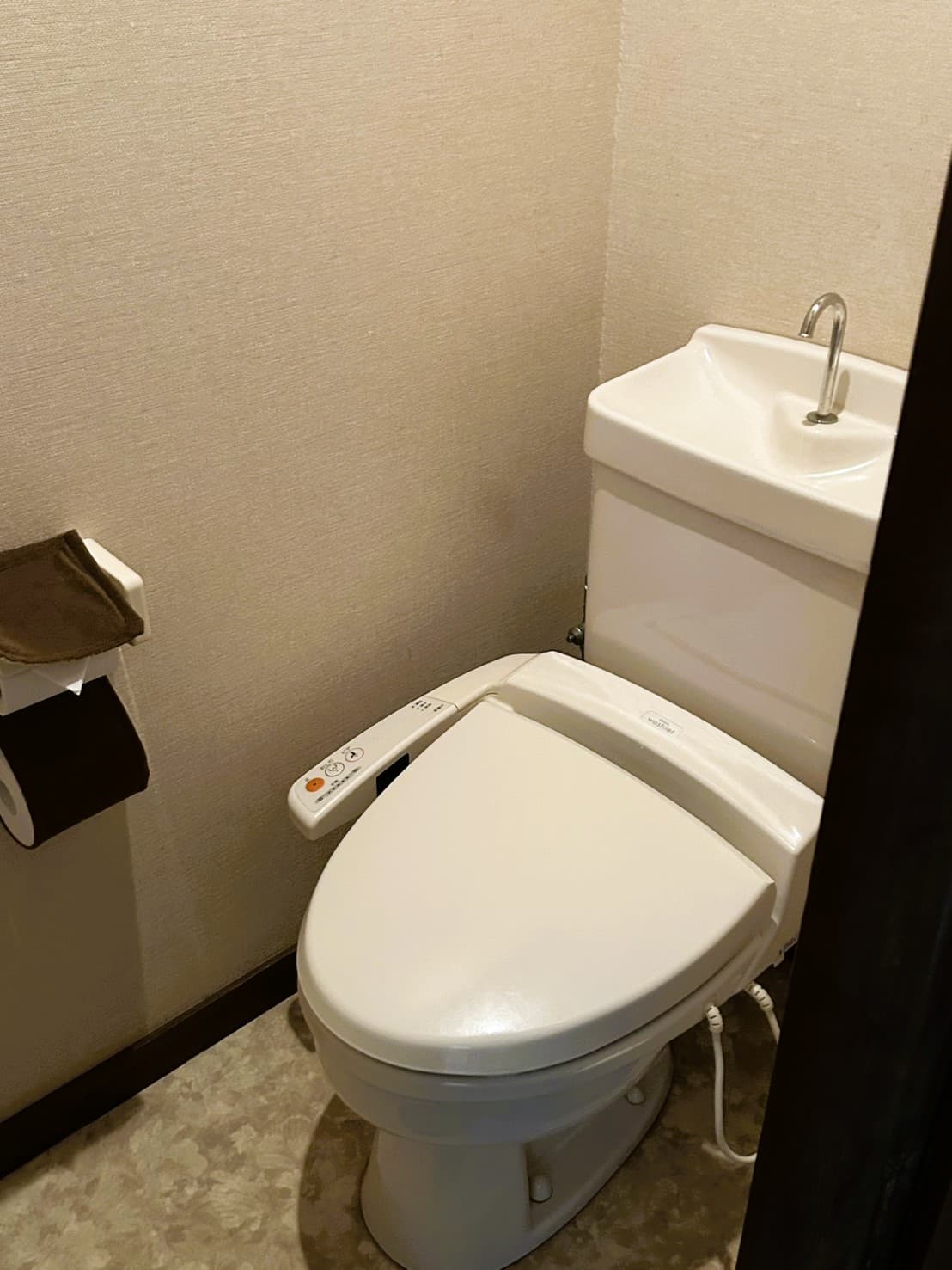 Japanese-style toilet