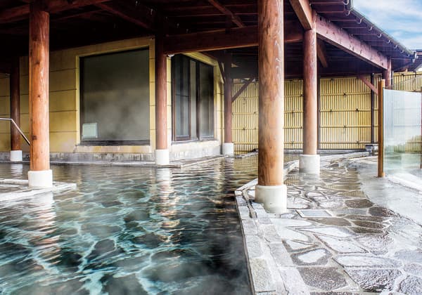 Takarabaco Hot Spring Inn photo 9