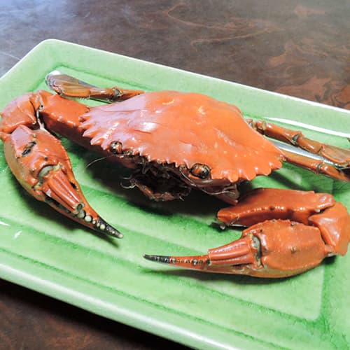 료칸 아리아케소 photo 12