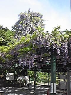 히노데 온천 photo 10