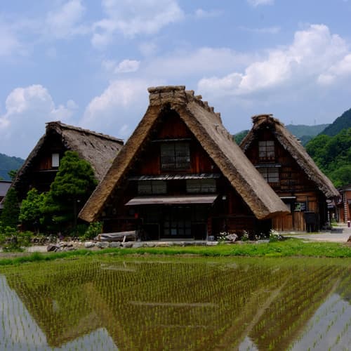 미야지마온센 다키노소 photo 14