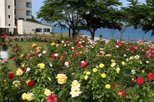 Tazawako Rose Garden next door