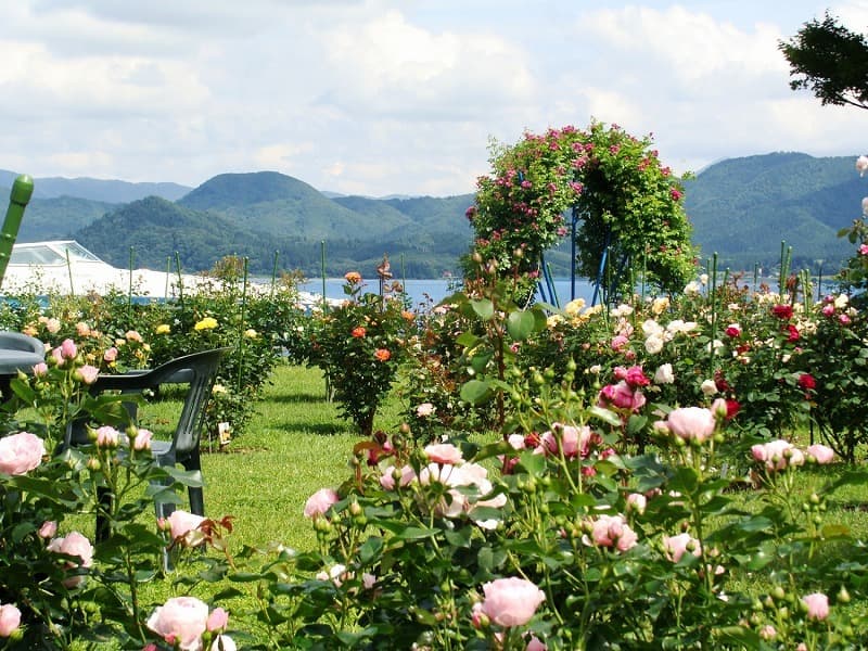 Tazawako Rose Park Hotel photo 8
