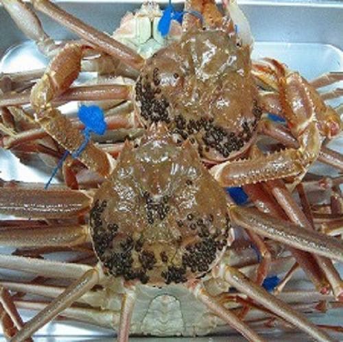 기노사키 온천 미쓰와 료칸 사진 9