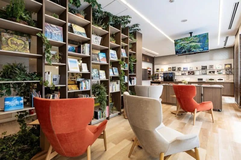 Library lounge