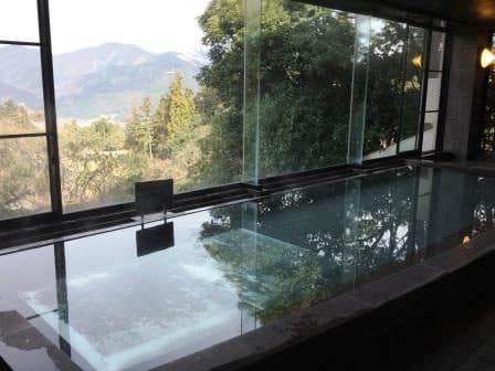 Large bath with Alps views