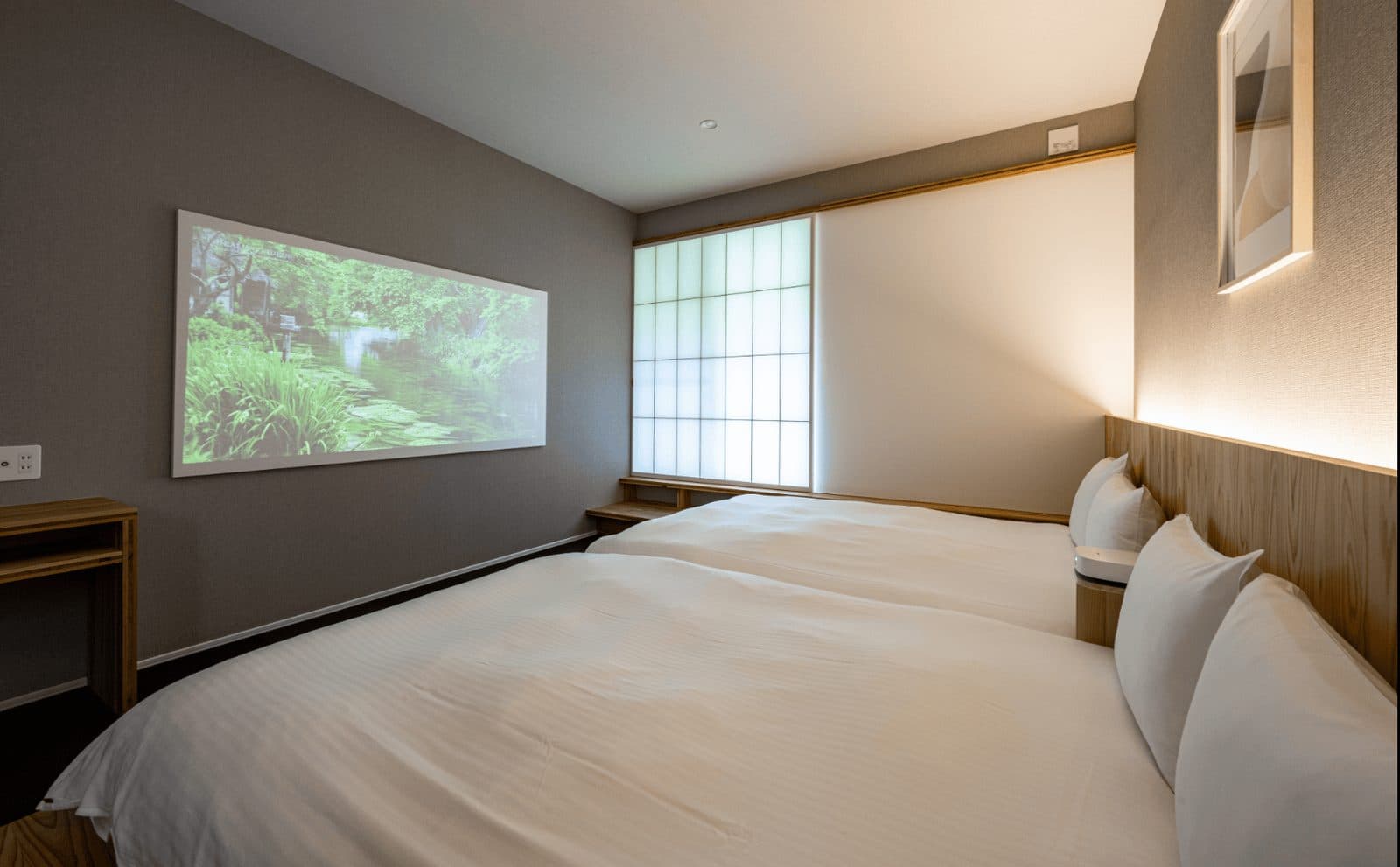 Deluxe rooms with projector