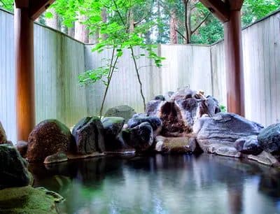 Forest baths