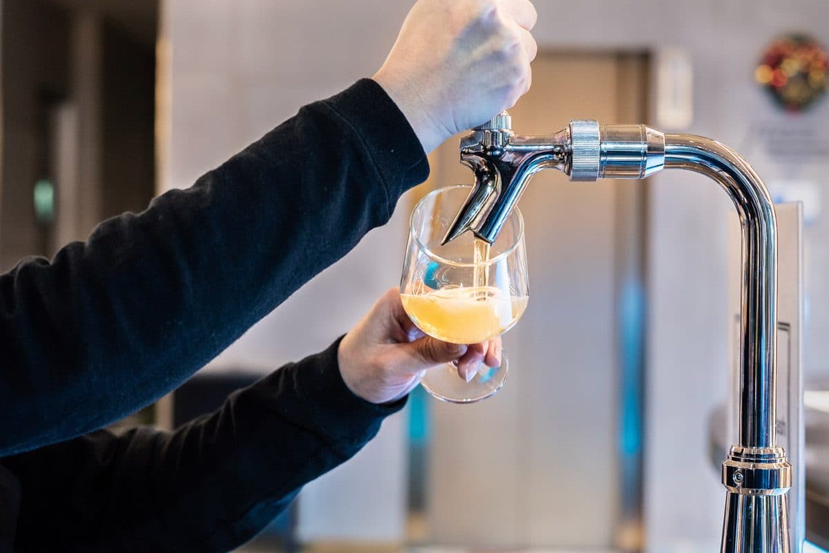 Free Evening Beer