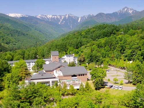 숲과 맞닿은 산책로