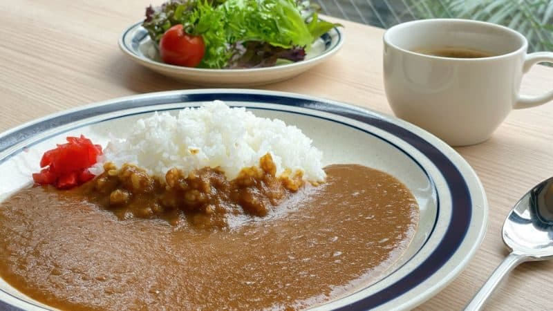 무료 야식 카레