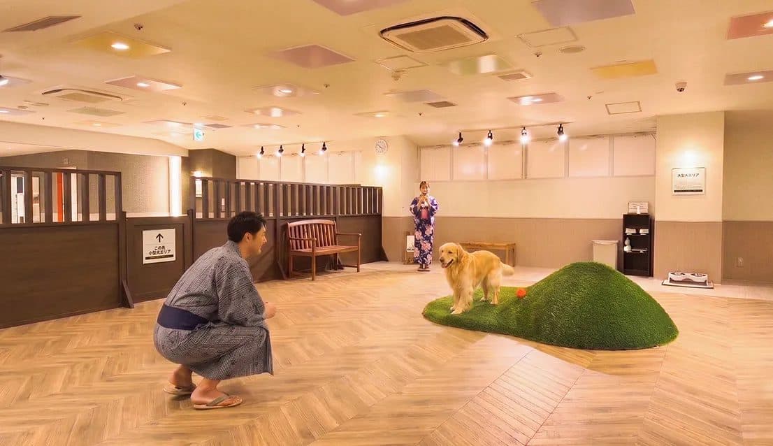 Indoor dog run