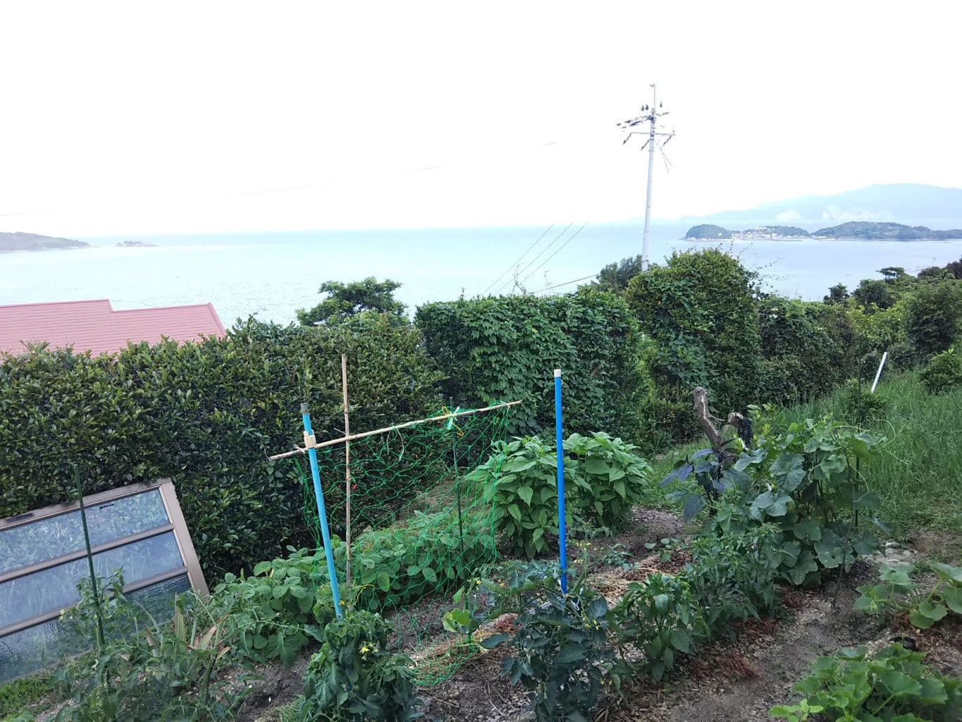 바다 보이는 농원
