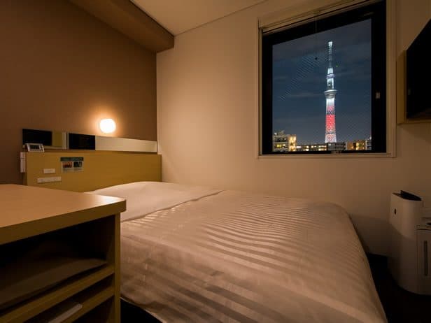 Skytree views