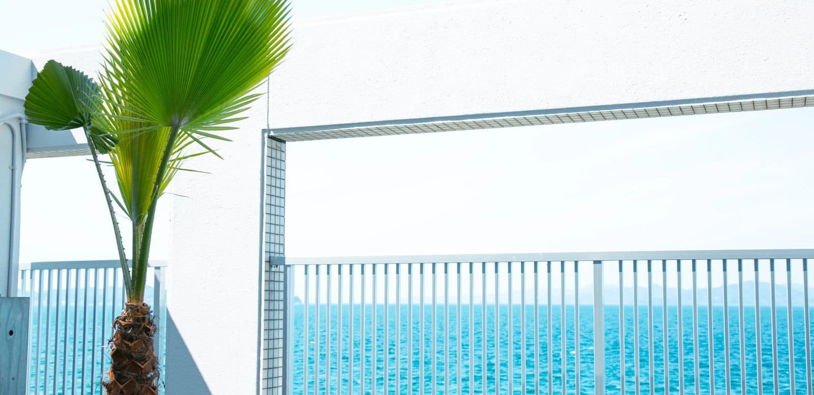 Ocean views from every room