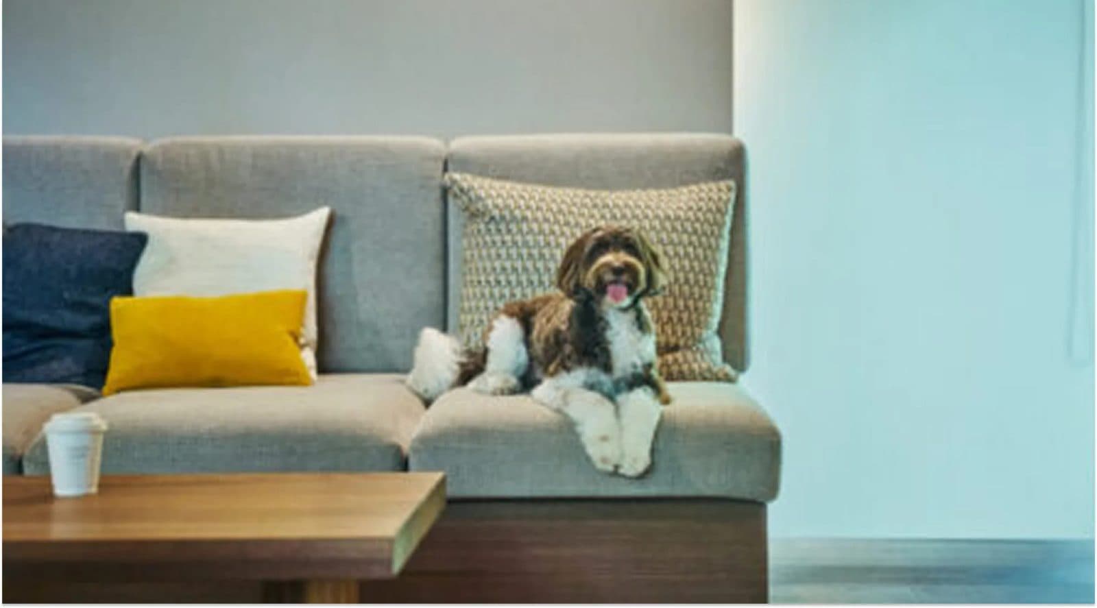 Dog-friendly villa