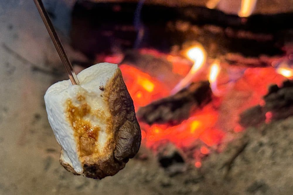 벽난로와 구운 마시멜로