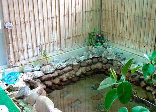 Free-flowing hot spring