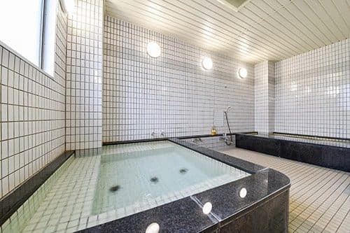 Large bath, sauna & cold plunge