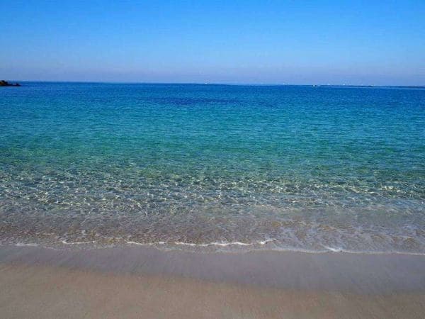 Shirarahama Beach, Just a Walk Away