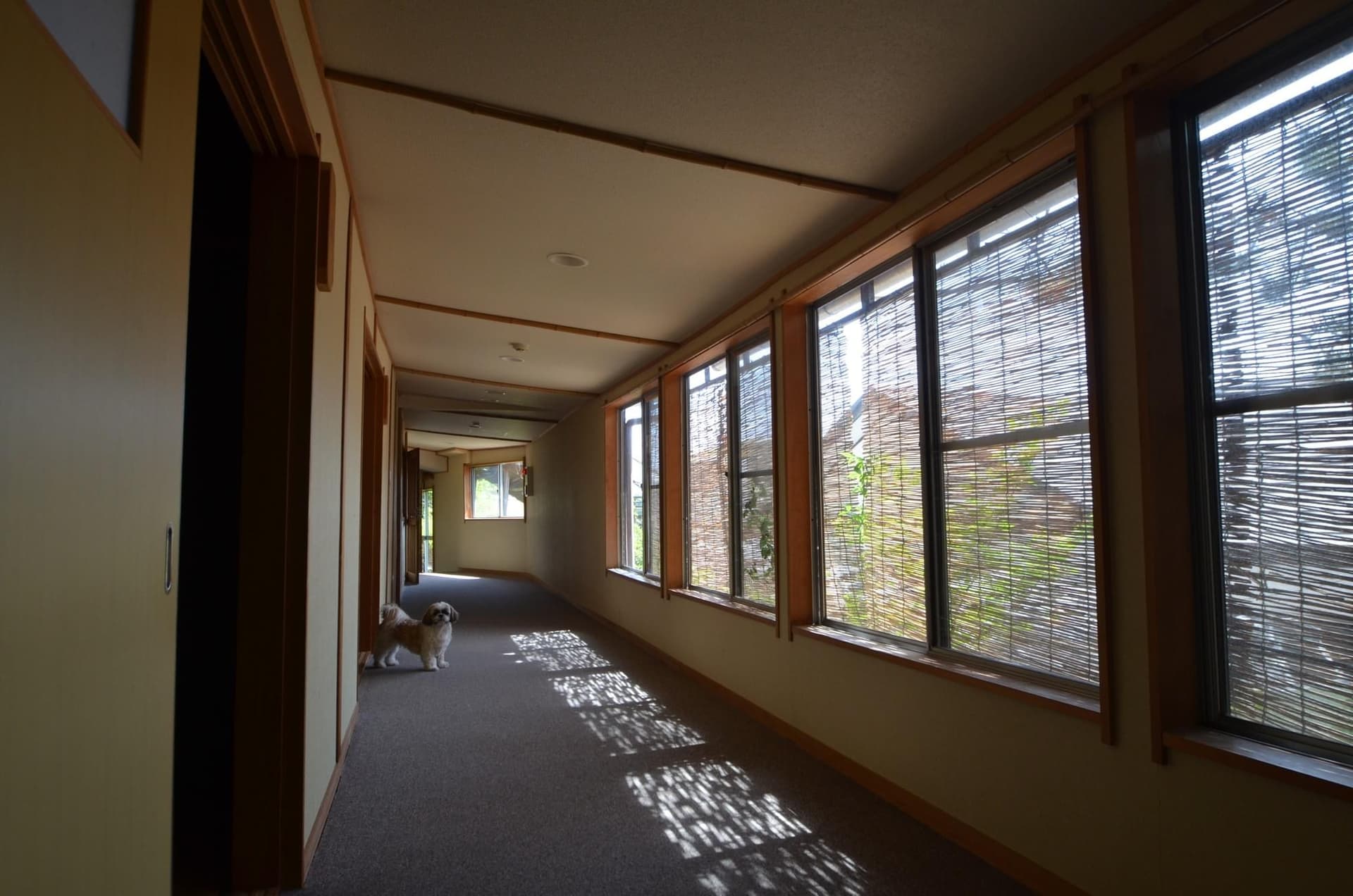 Annex Rooms